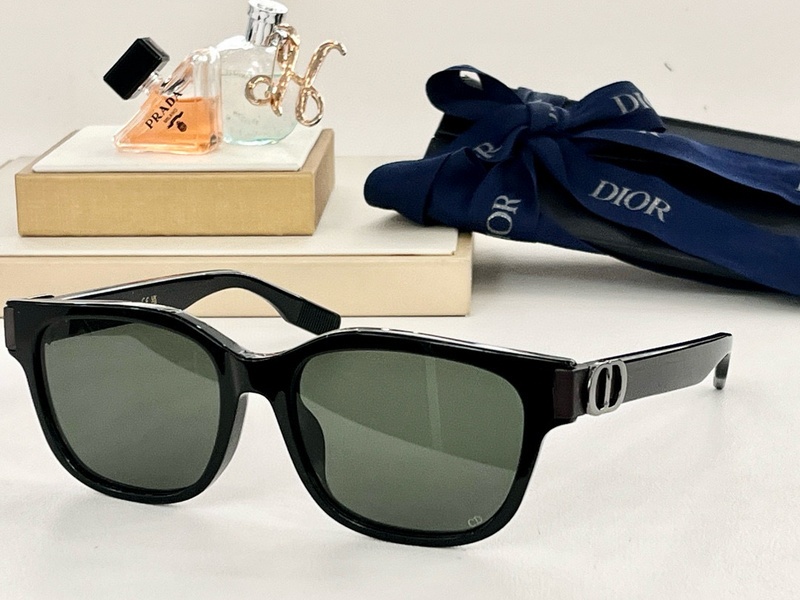 DIOR Sunglasses 2